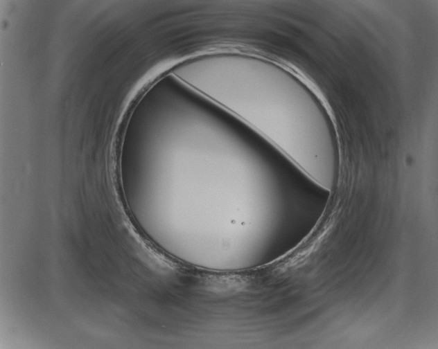 X0000087671045200705040720