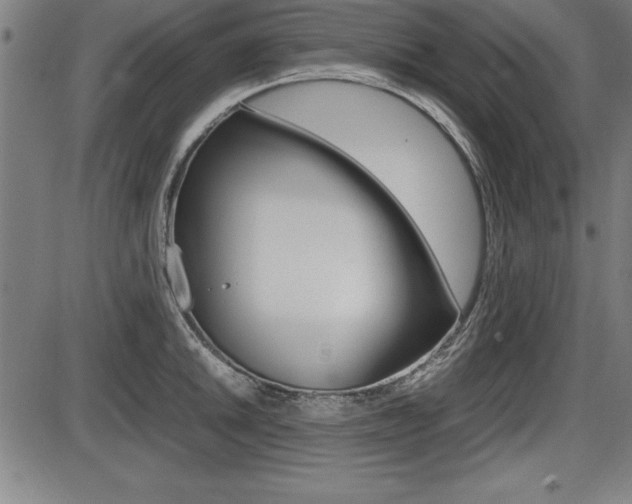 X0000087671046200705040720