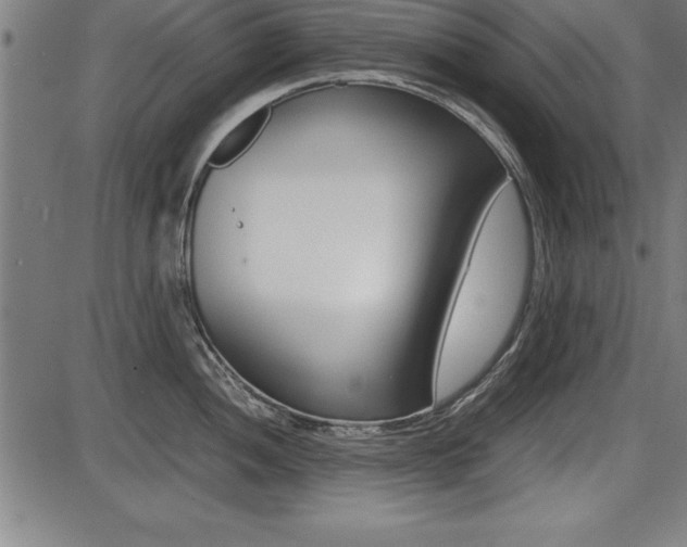 X0000087671052200705040720