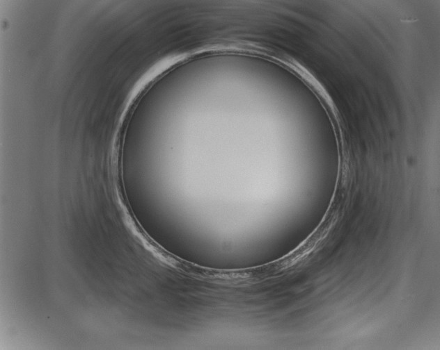 X0000087671053200705040720