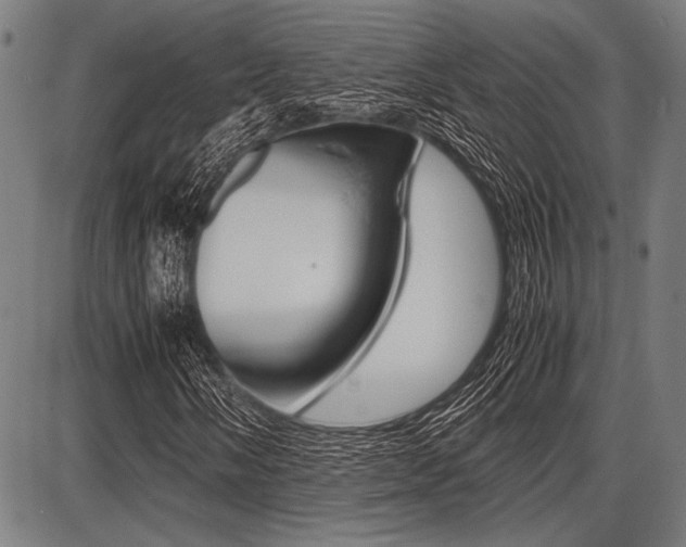 X0000087671058200705040720