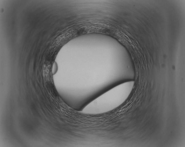 X0000087671059200705040720