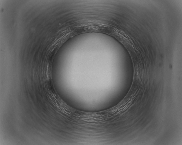 X0000087671060200705040720