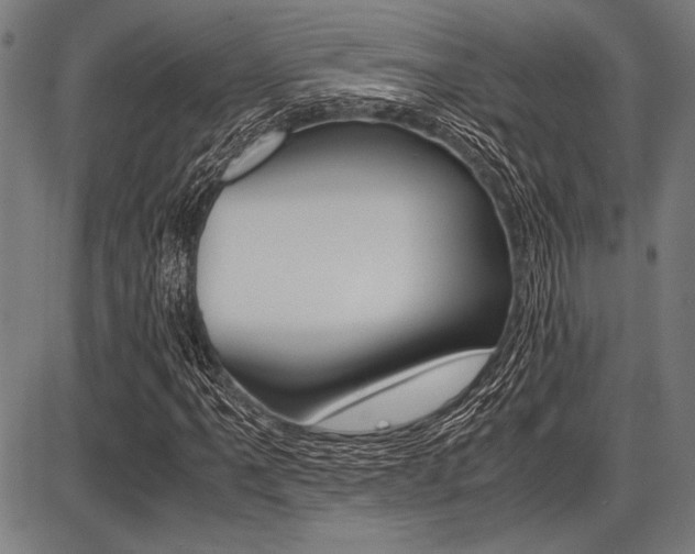 X0000087671061200705040720