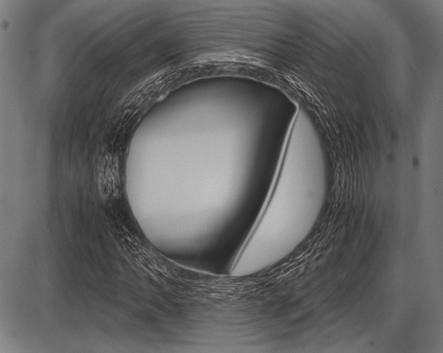 X0000087671062200705040720