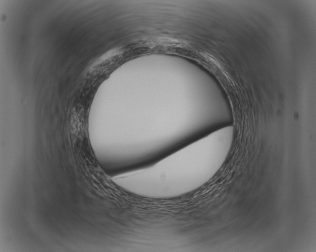 X0000087671063200705040720