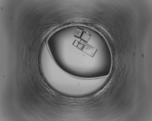 X0000087671065200705040720