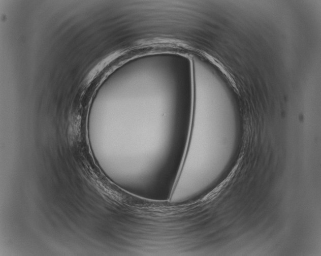 X0000087671066200705040720