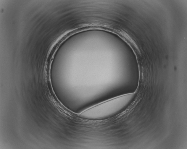 X0000087671068200705040720