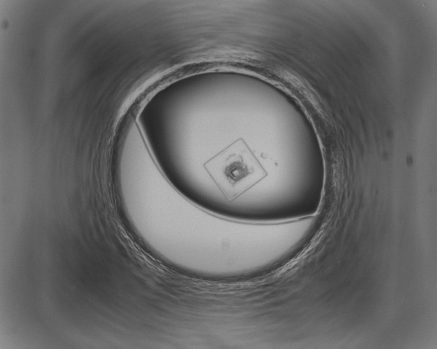 X0000087671069200705040720