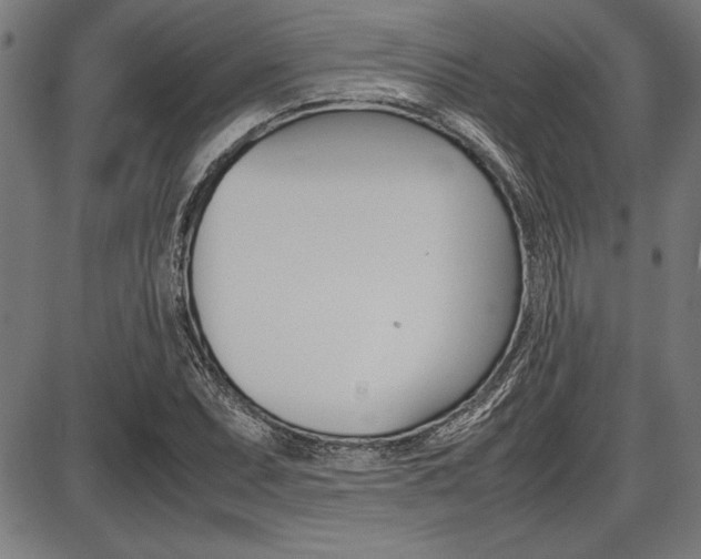 X0000087671071200705040719
