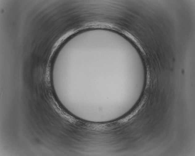 X0000087671074200705040719