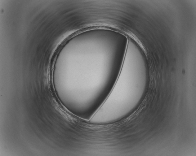 X0000087671076200705040719