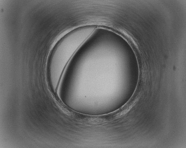 X0000087671077200705040719
