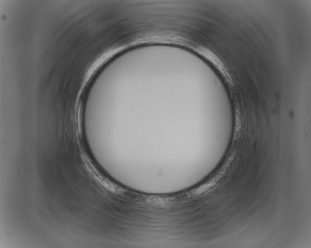 X0000087671078200705040719