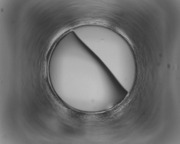 X0000087671079200705040719