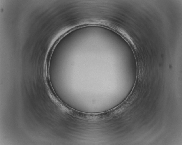 X0000087671080200705040719