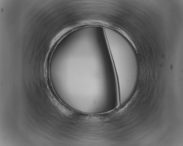 X0000087671082200705040719