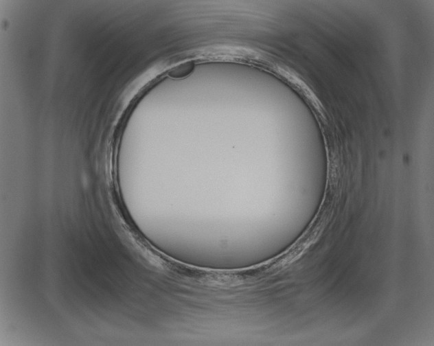 X0000087671083200705040719