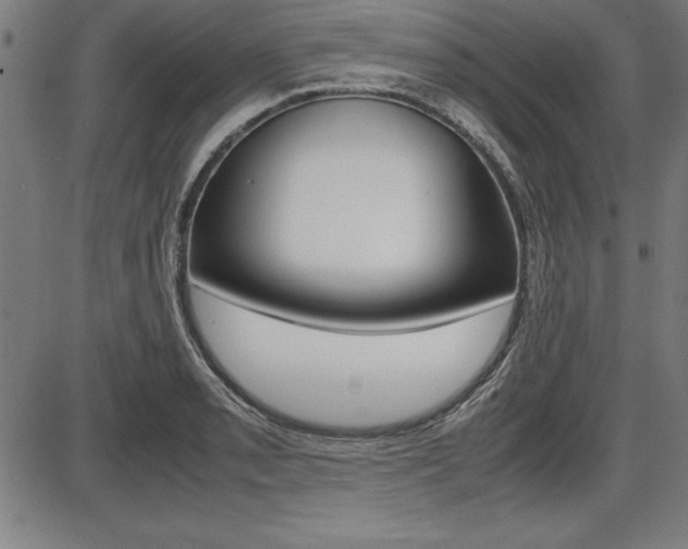 X0000087671085200705040719