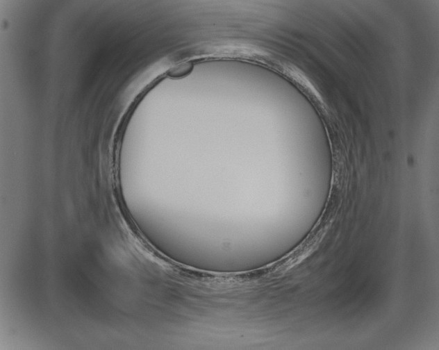X0000087671087200705040719