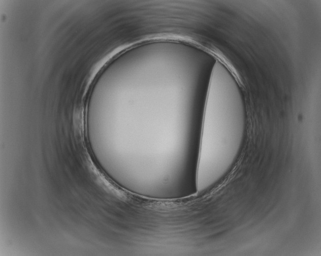 X0000087671092200705040719