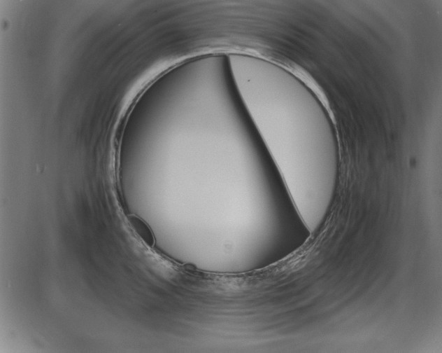 X0000087671096200705040719