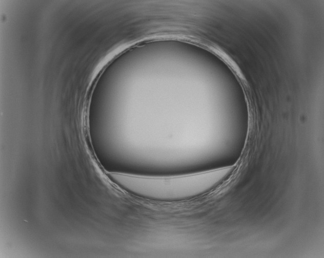 X0000087671101200705040719