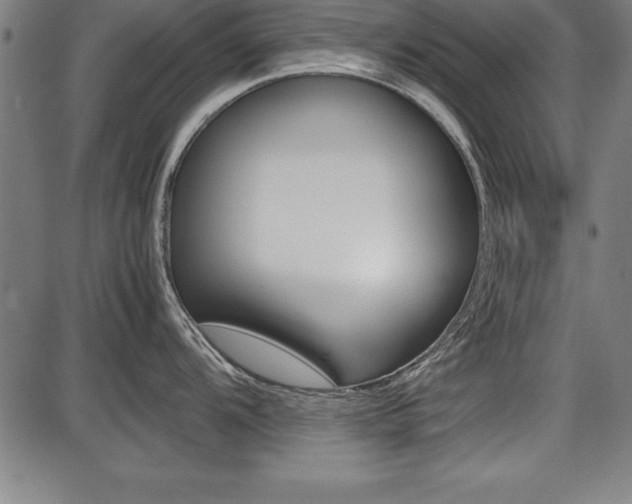 X0000087671104200705040719