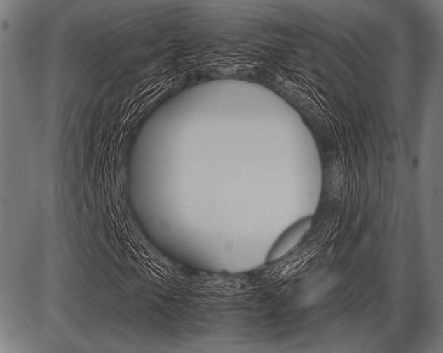 X0000087671105200705040718