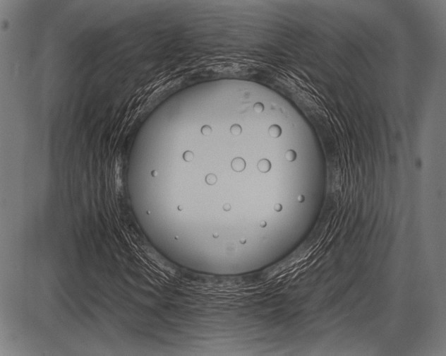 X0000087671106200705040718