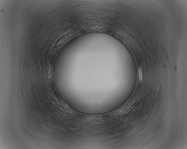 X0000087671107200705040718