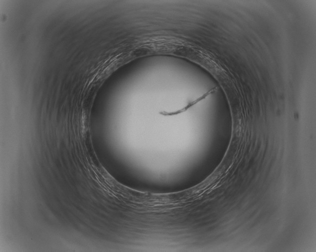 X0000087671108200705040718