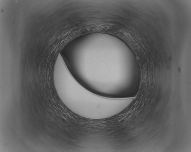 X0000087671109200705040718