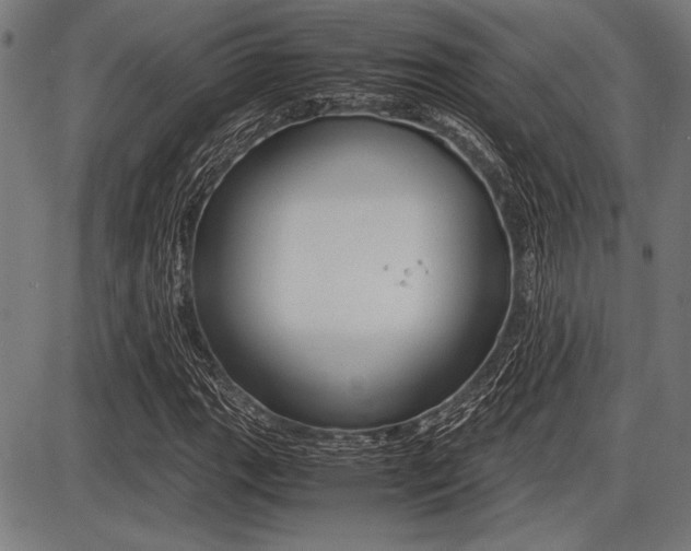 X0000087671111200705040718