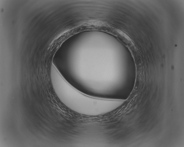 X0000087671112200705040718