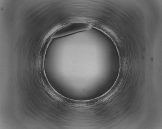 X0000087671114200705040718