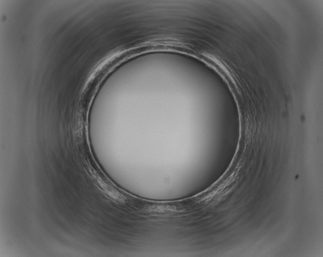 X0000087671115200705040718