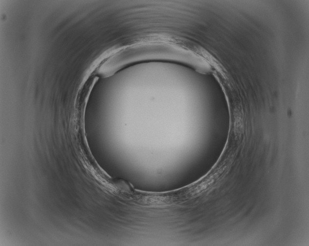 X0000087671116200705040718