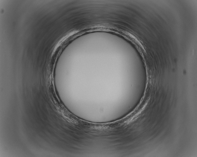 X0000087671117200705040718