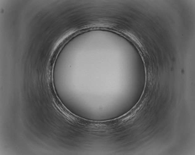 X0000087671119200705040718