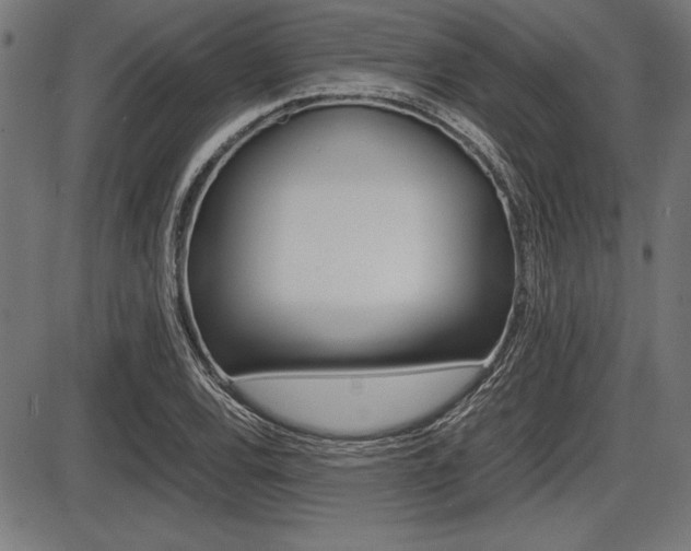 X0000087671120200705040718