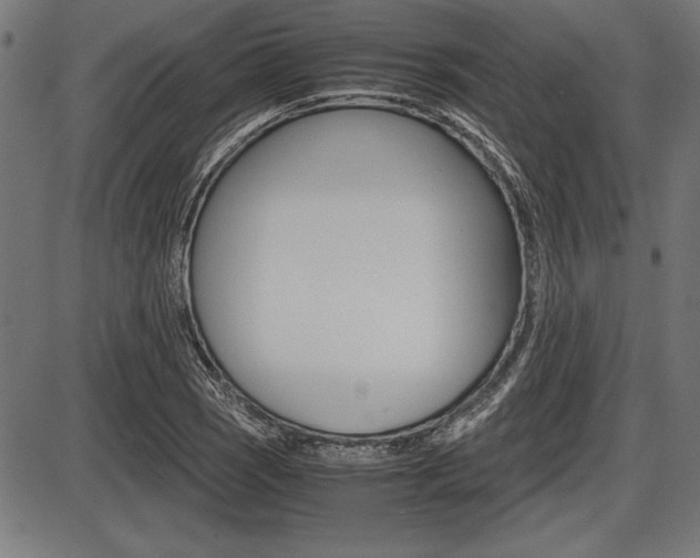 X0000087671121200705040718