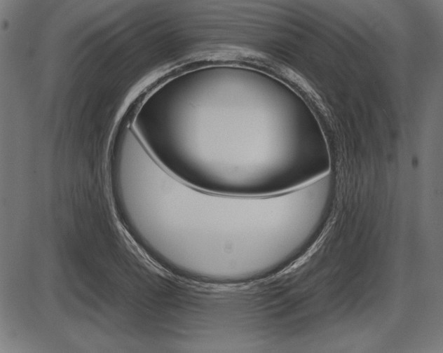 X0000087671122200705040718