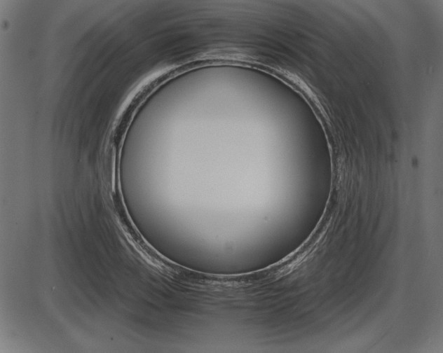 X0000087671123200705040718
