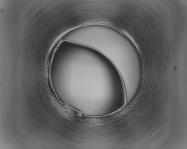 X0000087671124200705040718