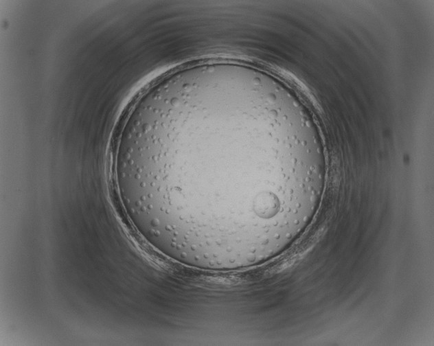 X0000087671125200705040718