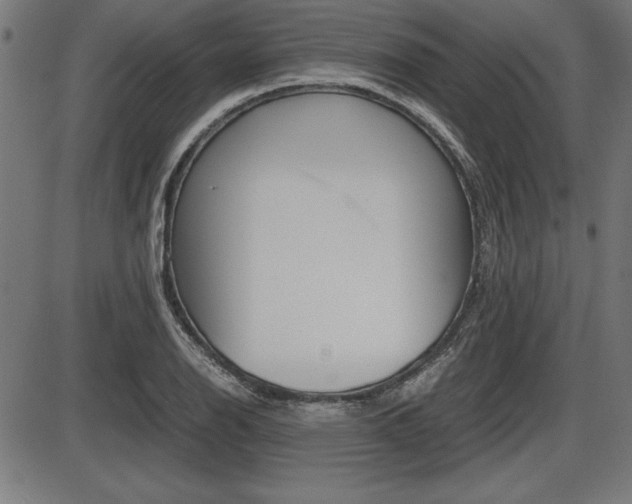 X0000087671126200705040718