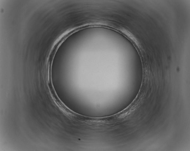 X0000087671127200705040719