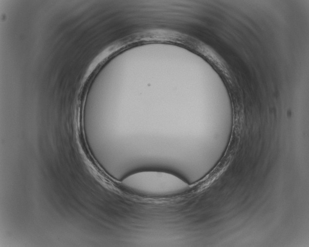 X0000087671130200705040719